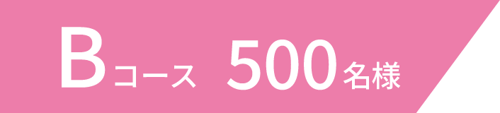 Bコース 500名様