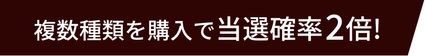 複数種類購入で当選確率2倍！