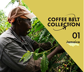 「ブルーマウンテンコーヒー」の生産国ジャマイカ−コーヒーベルト・コレクション−