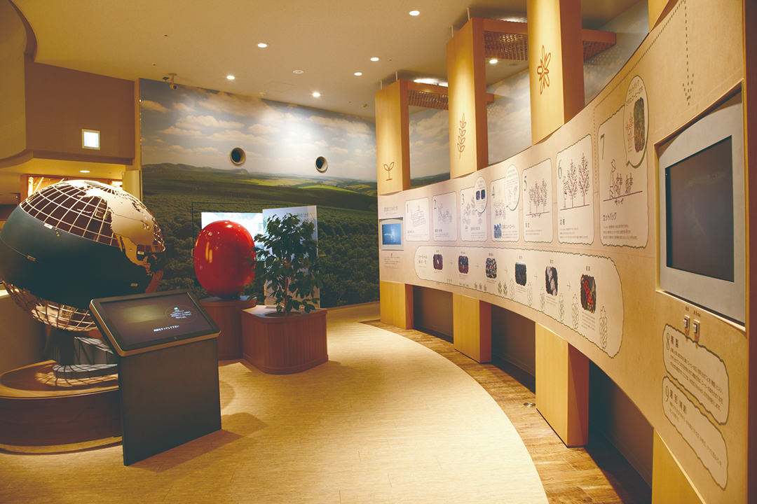 展示室２ 栽培 1
