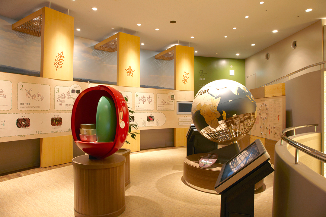 展示室２ 栽培 2