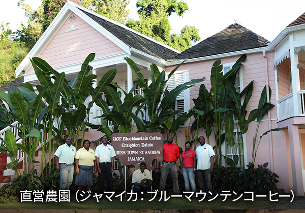 直営農園（ジャマイカ：ブルーマウンテンコーヒー）