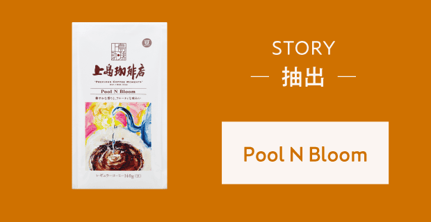 STORY 抽出 Pool N Bloom